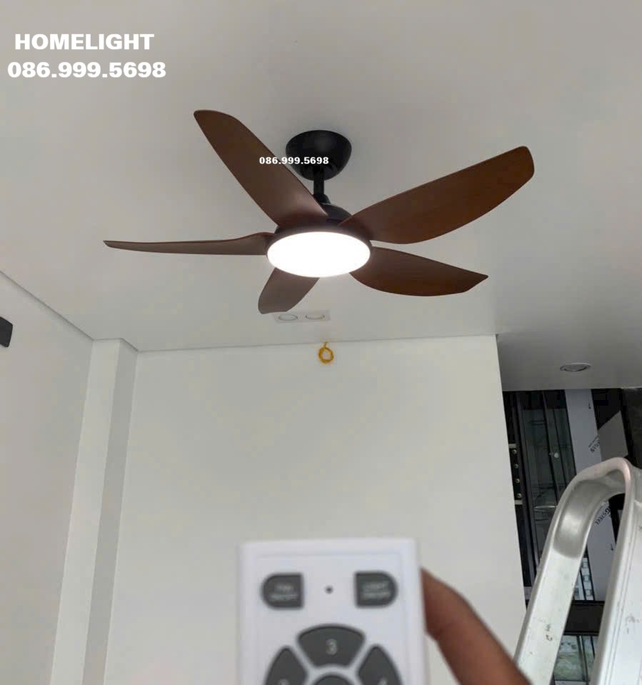 Quạt trần đèn HL Fan 512