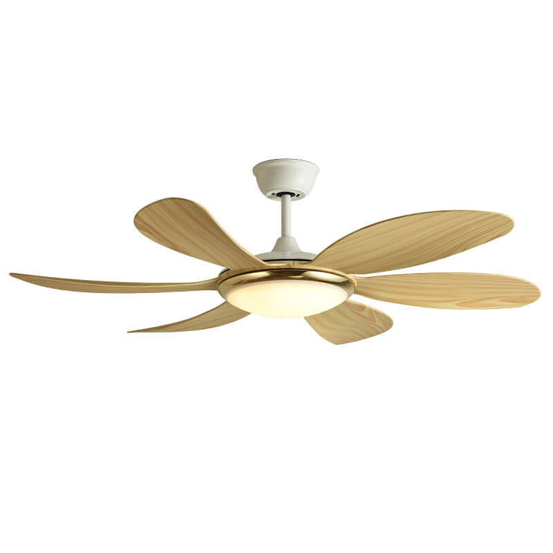 Quạt trần đèn cho chung cư HL-FAN800