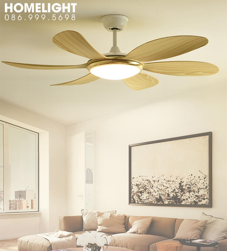 Quạt trần đèn cho chung cư HL-FAN800