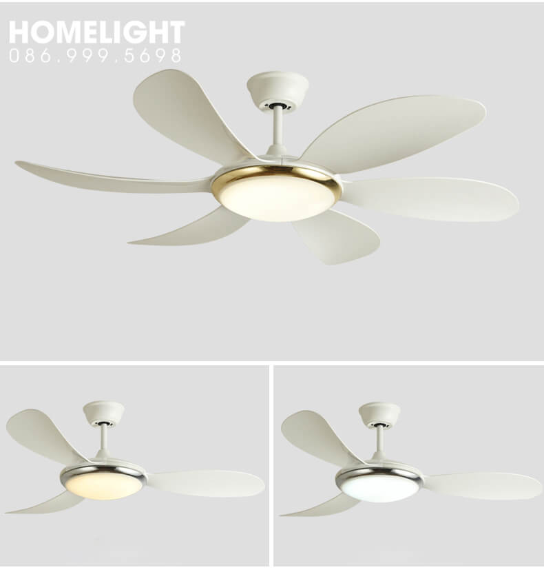 Quạt trần đèn đẹp chung cư - HL-FAN801