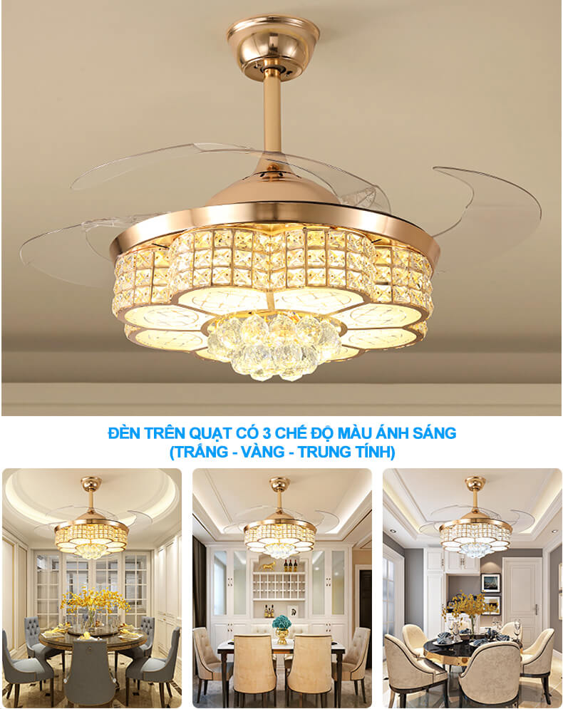 Quạt trần đèn pha lê - HL-FAN008