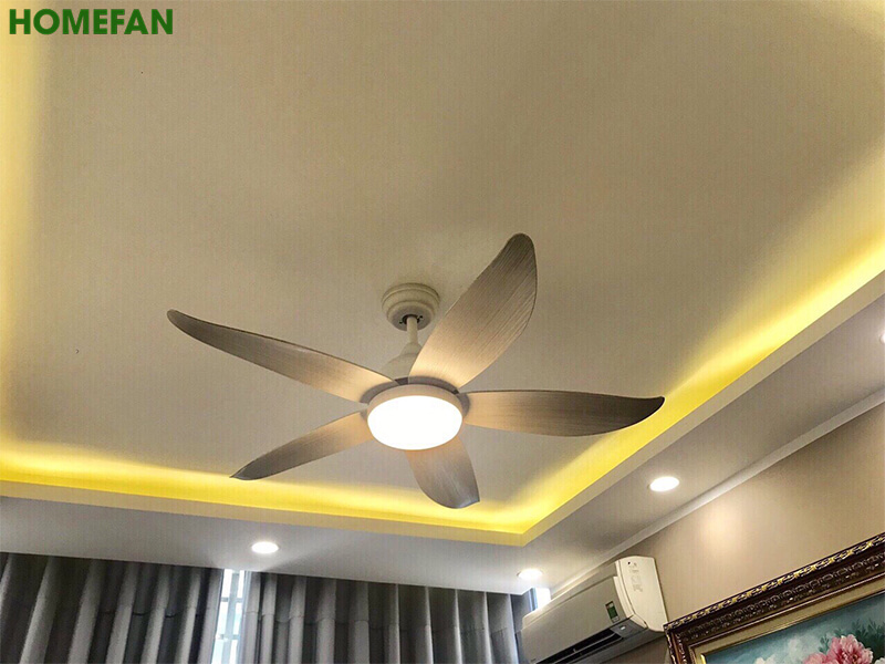 Quạt trần đèn trang trí phòng khách đẹp -HL-FAN660