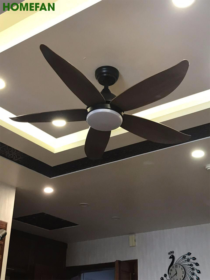 Quạt trần đèn trang trí phòng khách đẹp -HL-FAN660