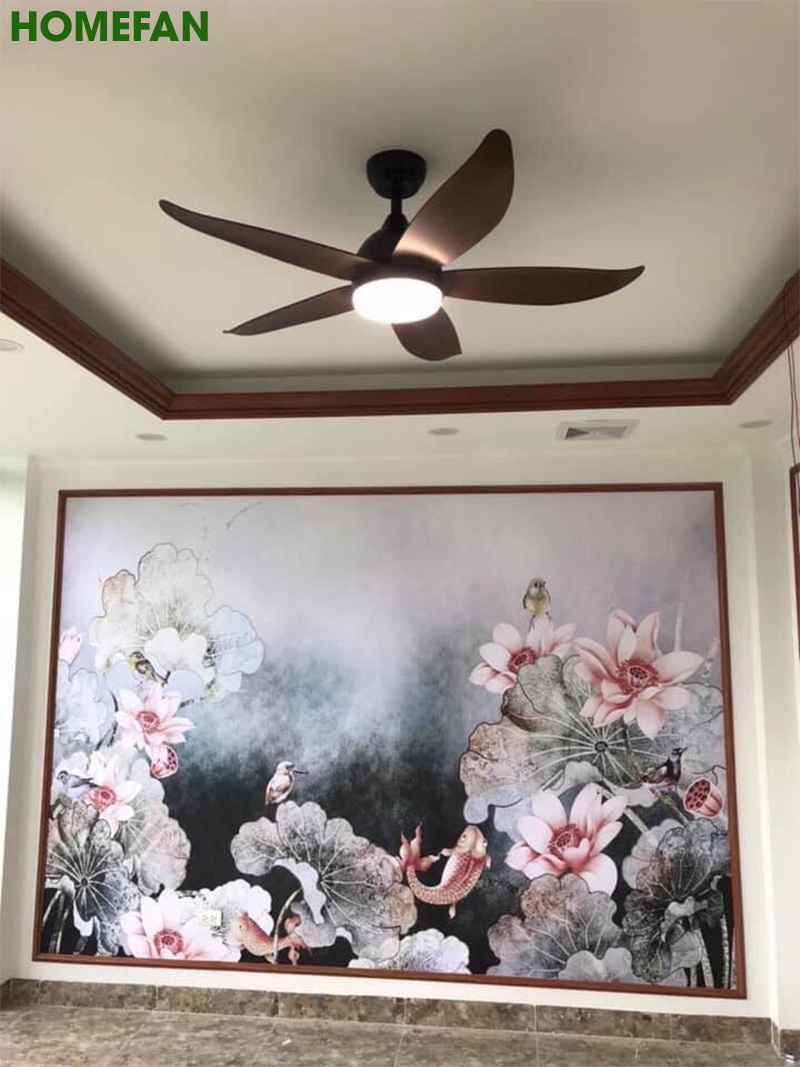 Quạt trần đèn trang trí phòng khách đẹp -HL-FAN660