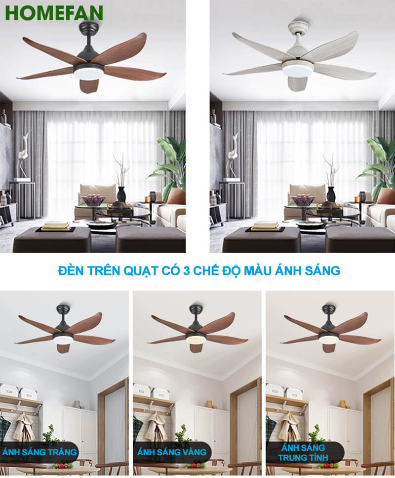 Quạt trần đèn trang trí phòng khách đẹp -HL-FAN660