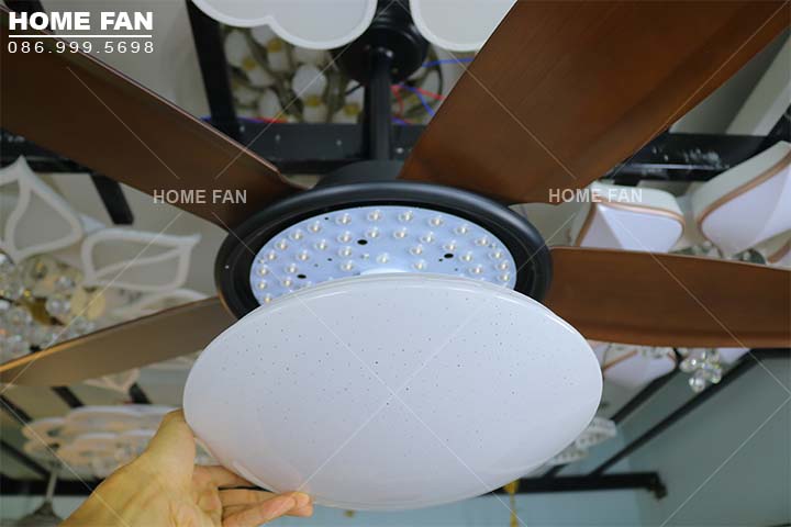 Quạt trần đèn trang trí phòng khách đẹp -HL-FAN699