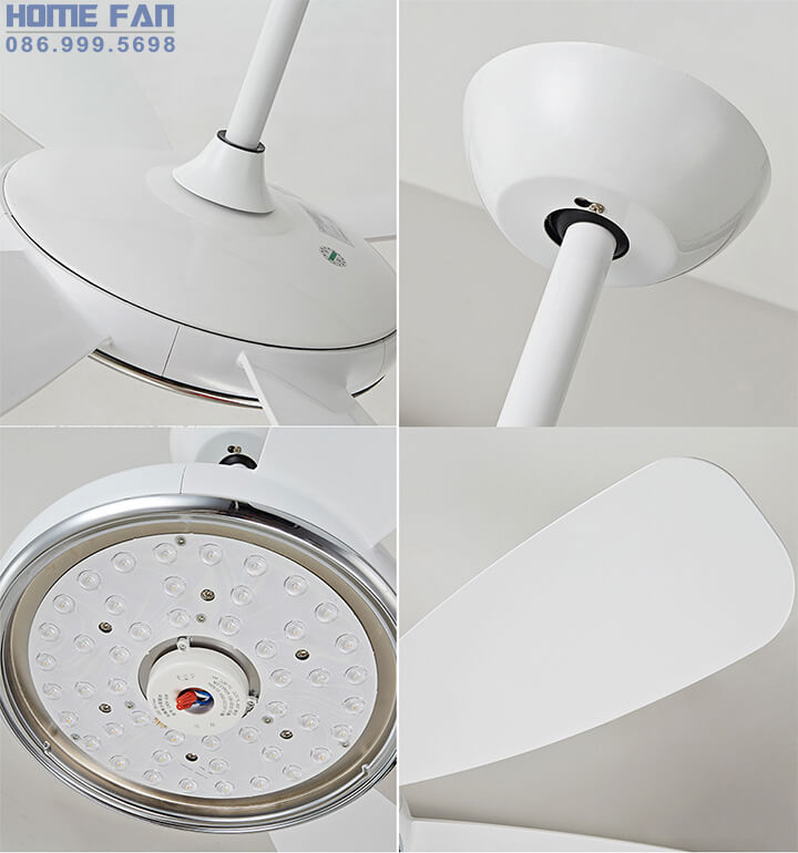 Quạt trần có đèn chùm - HL-FAN682