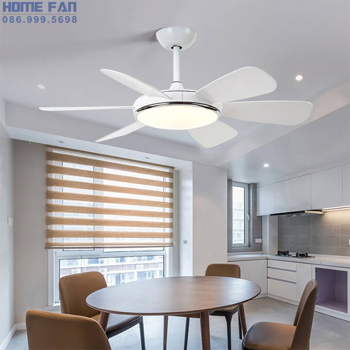 Quạt trần có đèn chùm - HL-FAN682