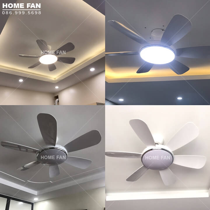 Quạt trần có đèn chùm - HL-FAN682