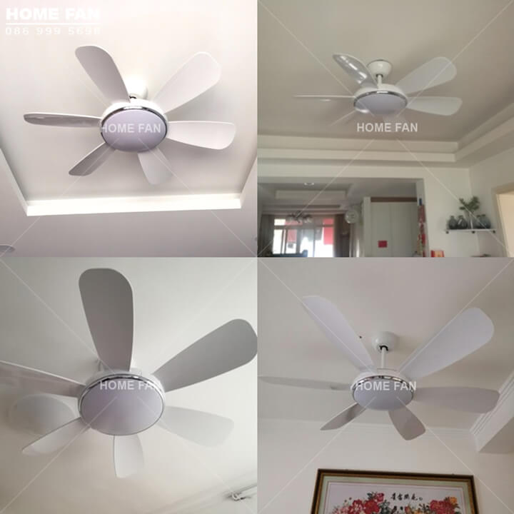 Quạt trần có đèn chùm - HL-FAN682