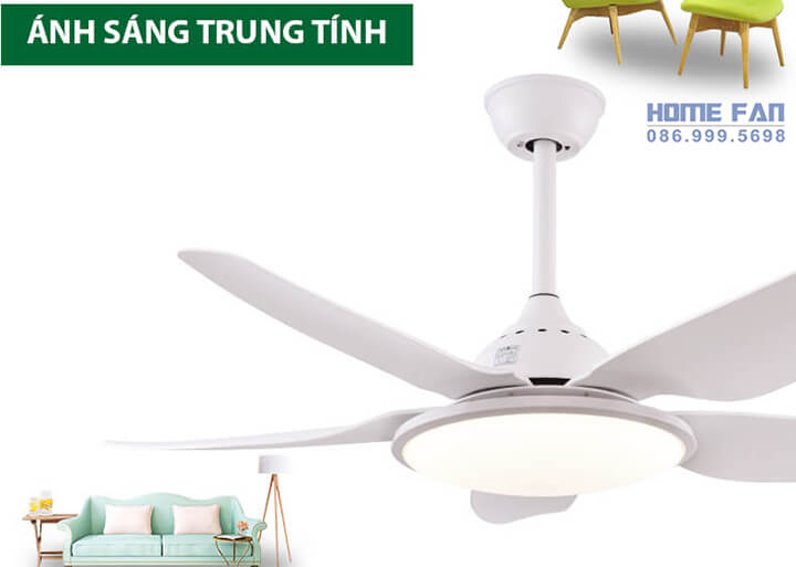 Quạt trần có đèn chùm trang trí nội thất phòng khách đẹp 2019 tại Hà Nội