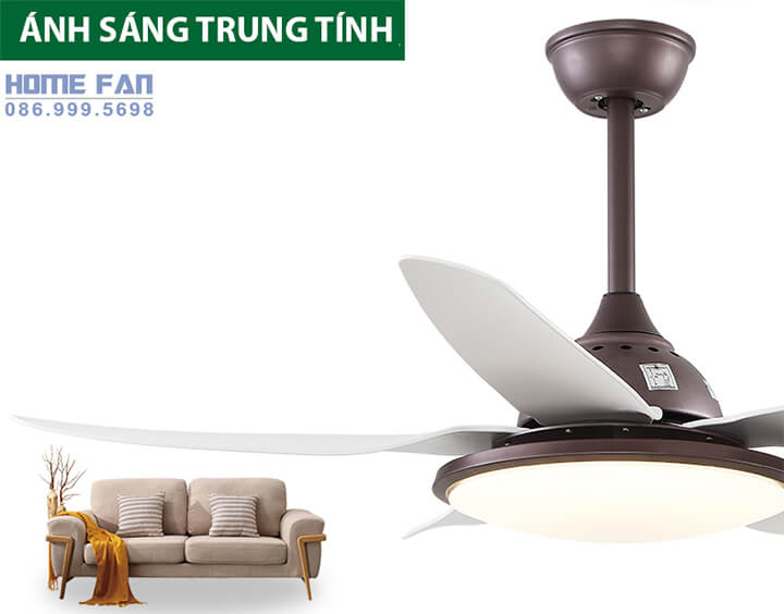 Quạt trần cho nhà chung cư với nội thất hiện đại 2019 tại Hà Nội