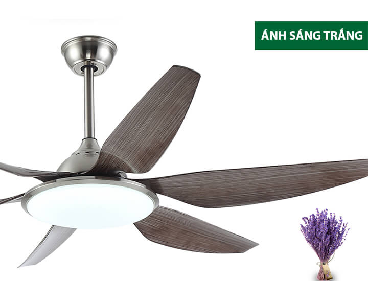 Đèn quạt trần cao cấp động cơ DC trang trí nội thất phòng khách Hl-Fan693