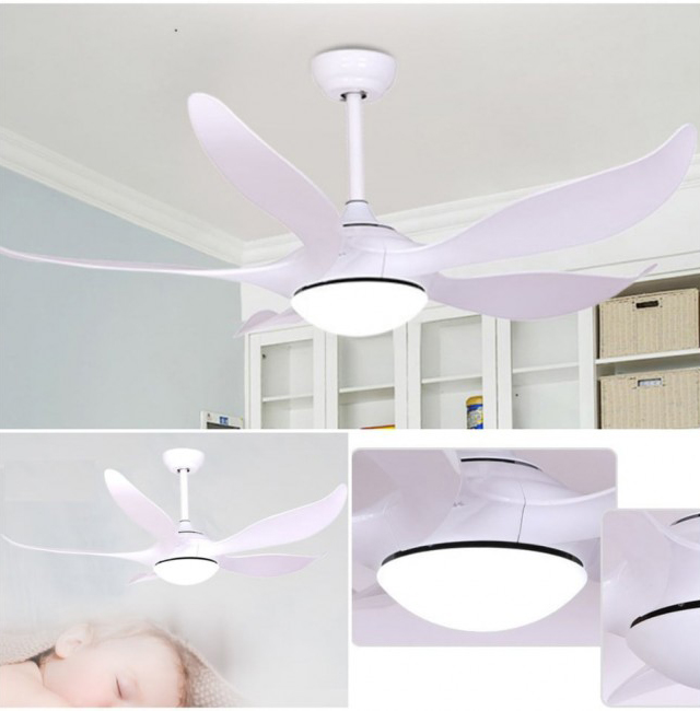 Quạt trần có đèn led HL-FAN755