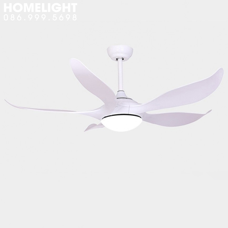 Quạt trần có đèn led HL-FAN755