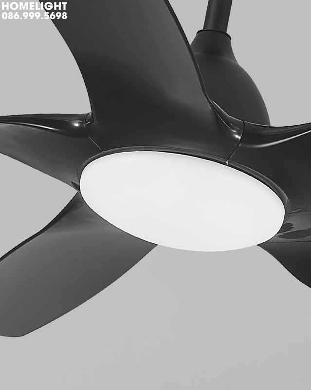 Quạt trần đèn hiện đại - HL-FAN370