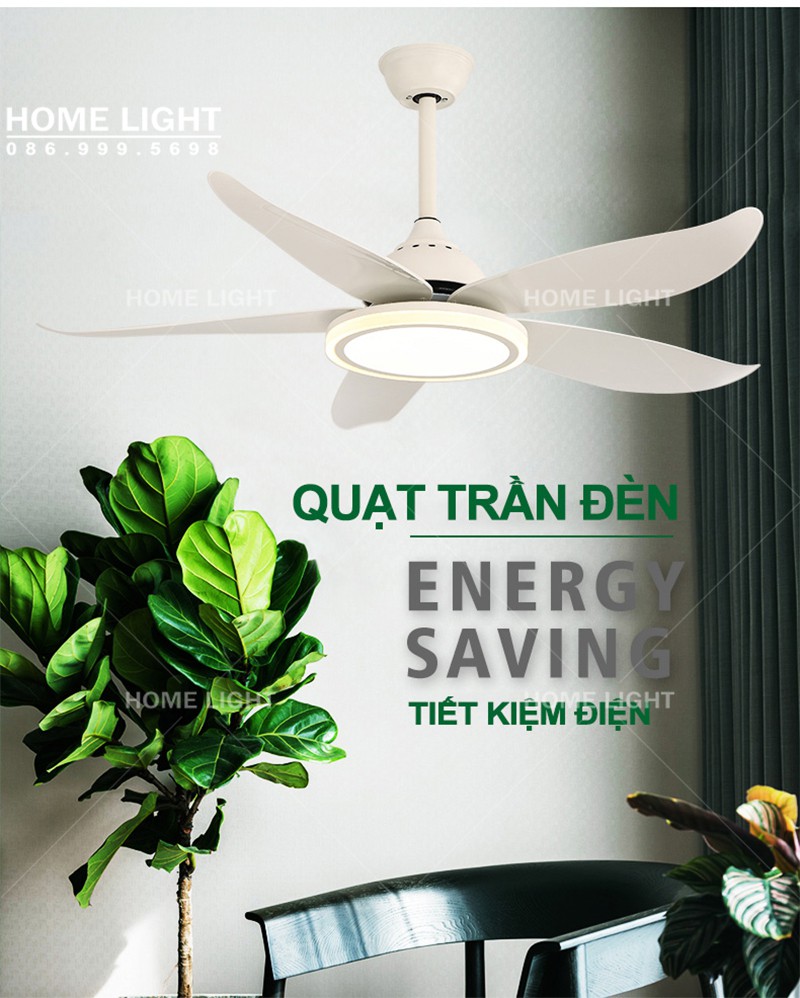 Quạt trần đèn trang trí phòng khách đẹp -HL-FAN089