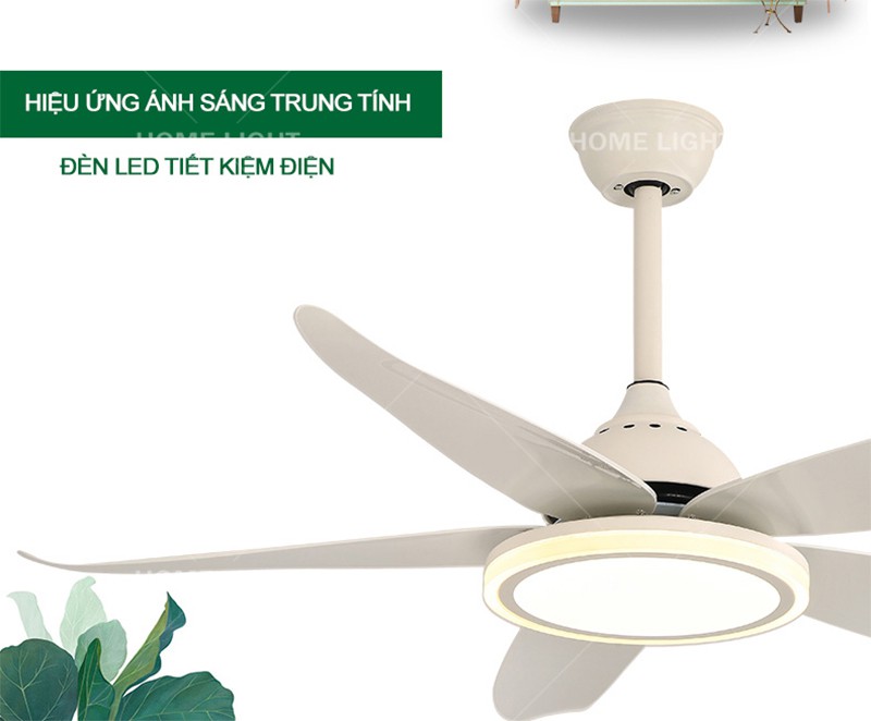 Quạt trần đèn trang trí phòng khách đẹp -HL-FAN089