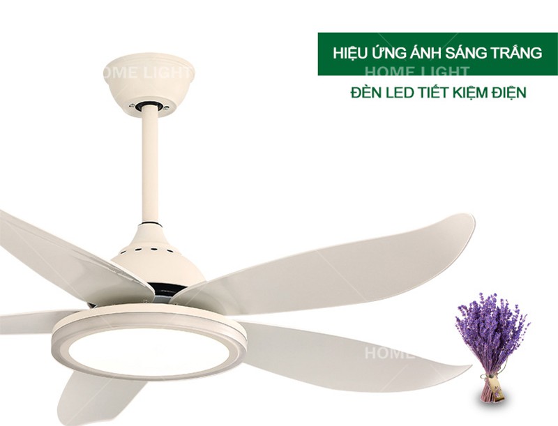 Quạt trần đèn trang trí phòng khách đẹp -HL-FAN089