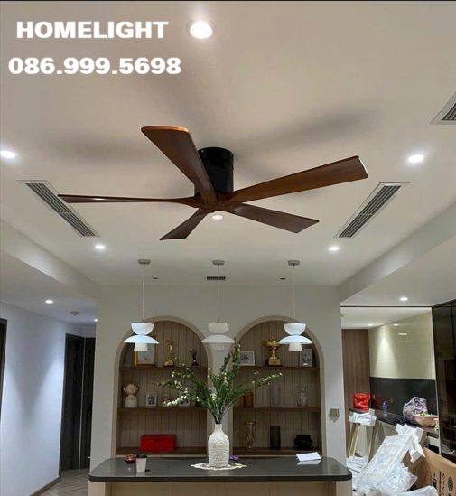 Quạt trần đèn HL Fan590
