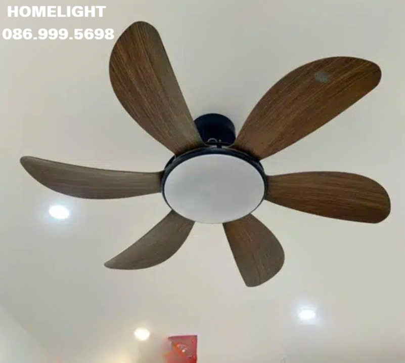 Quạt trần đèn HL Fan599