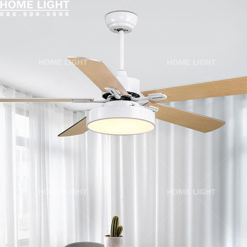 Quạt trần đèn kiểu dáng hiện đại - HL-FAN659