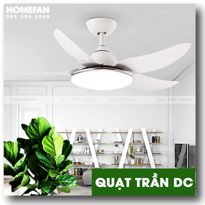 Quạt đèn trần trang trí - HL-FAN662