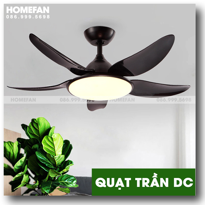 Đèn quạt trần trang trí - HL-FAN663