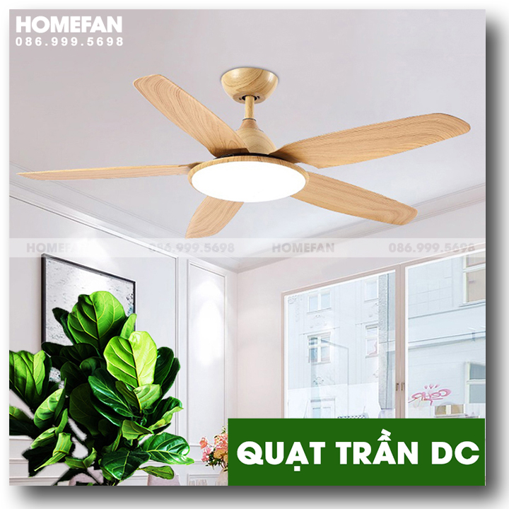 Quạt đèn trần DC - 52KJYY-56