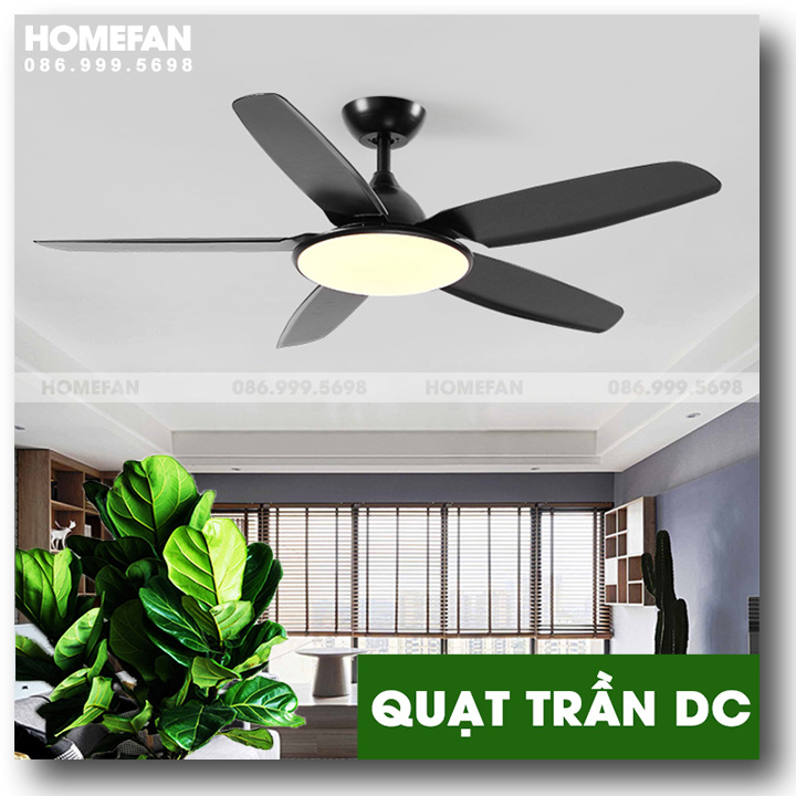 Quạt trần đèn cao cấp - HL-FAN665