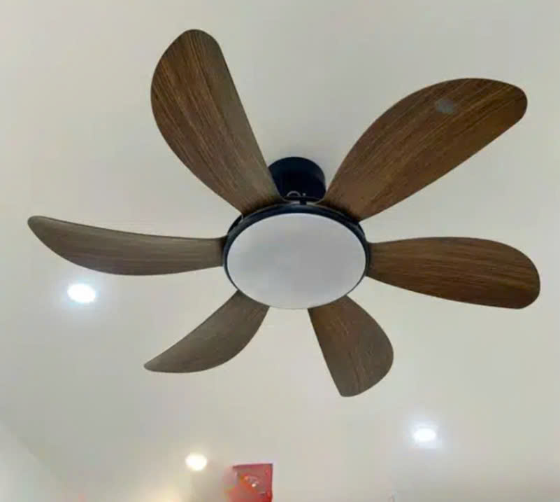 Quạt trần đèn HL Fan599