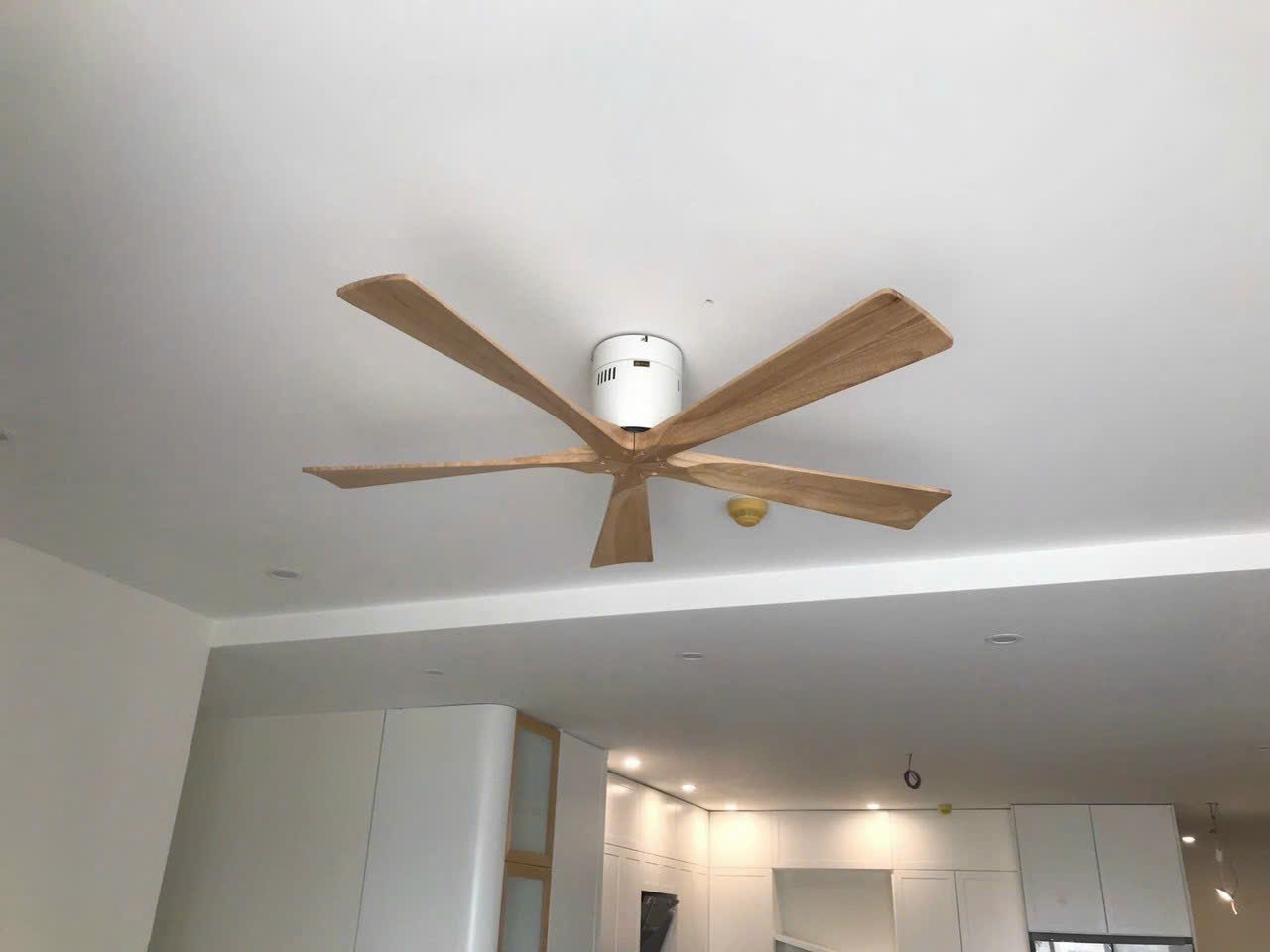 Quạt trần đèn HL Fan590
