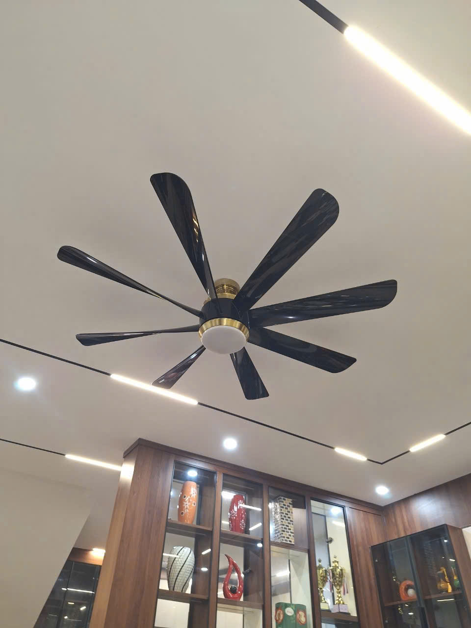Quạt trần đèn HL Fan 511