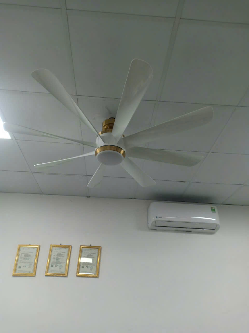 Quạt trần đèn HL Fan 511