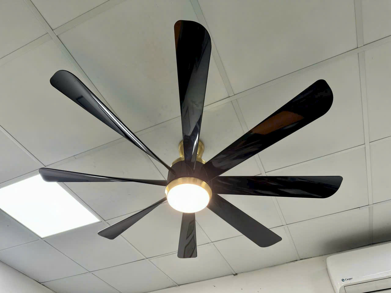 Quạt trần đèn HL Fan 511