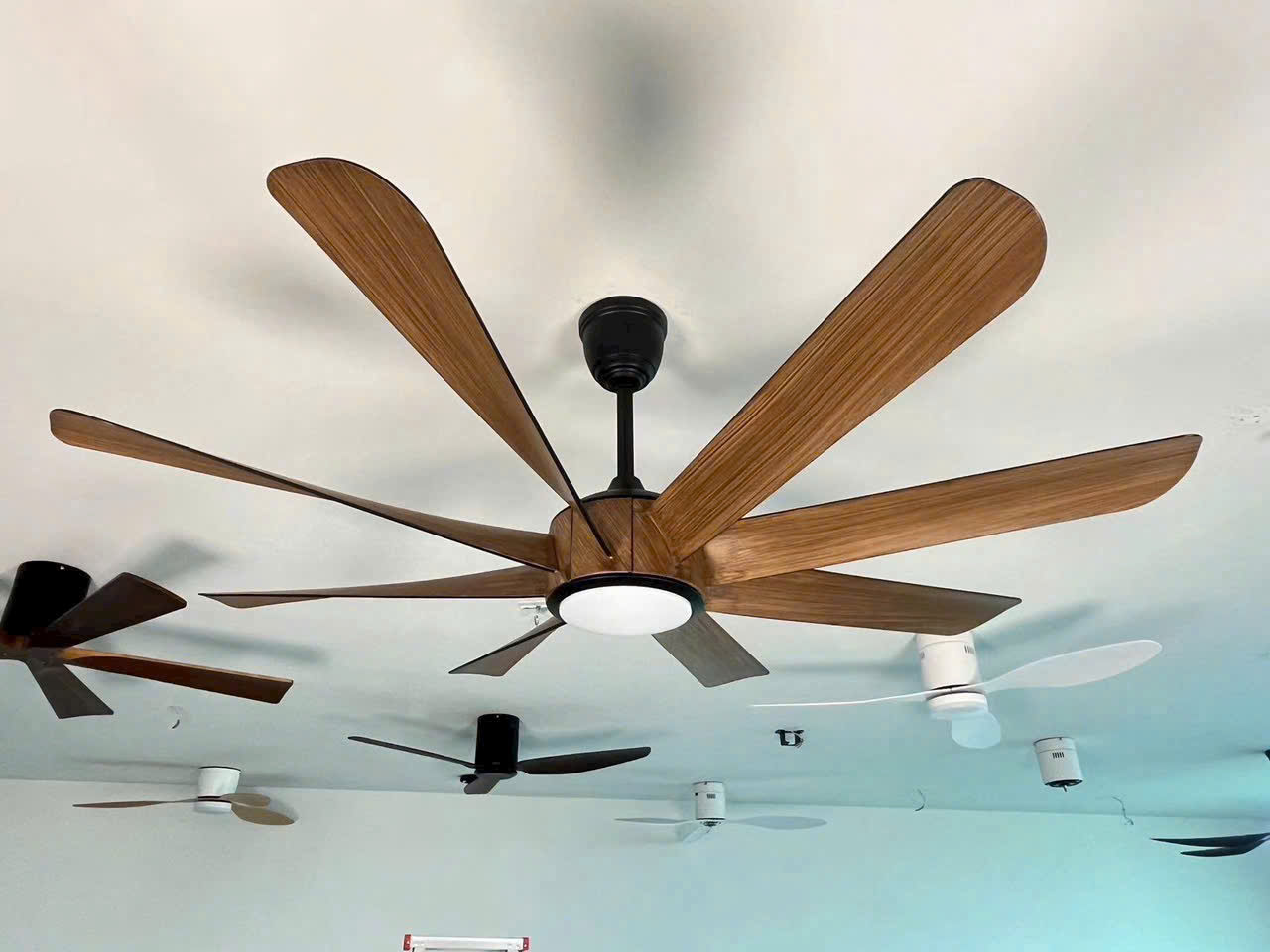 Quạt trần đèn HL Fan 511
