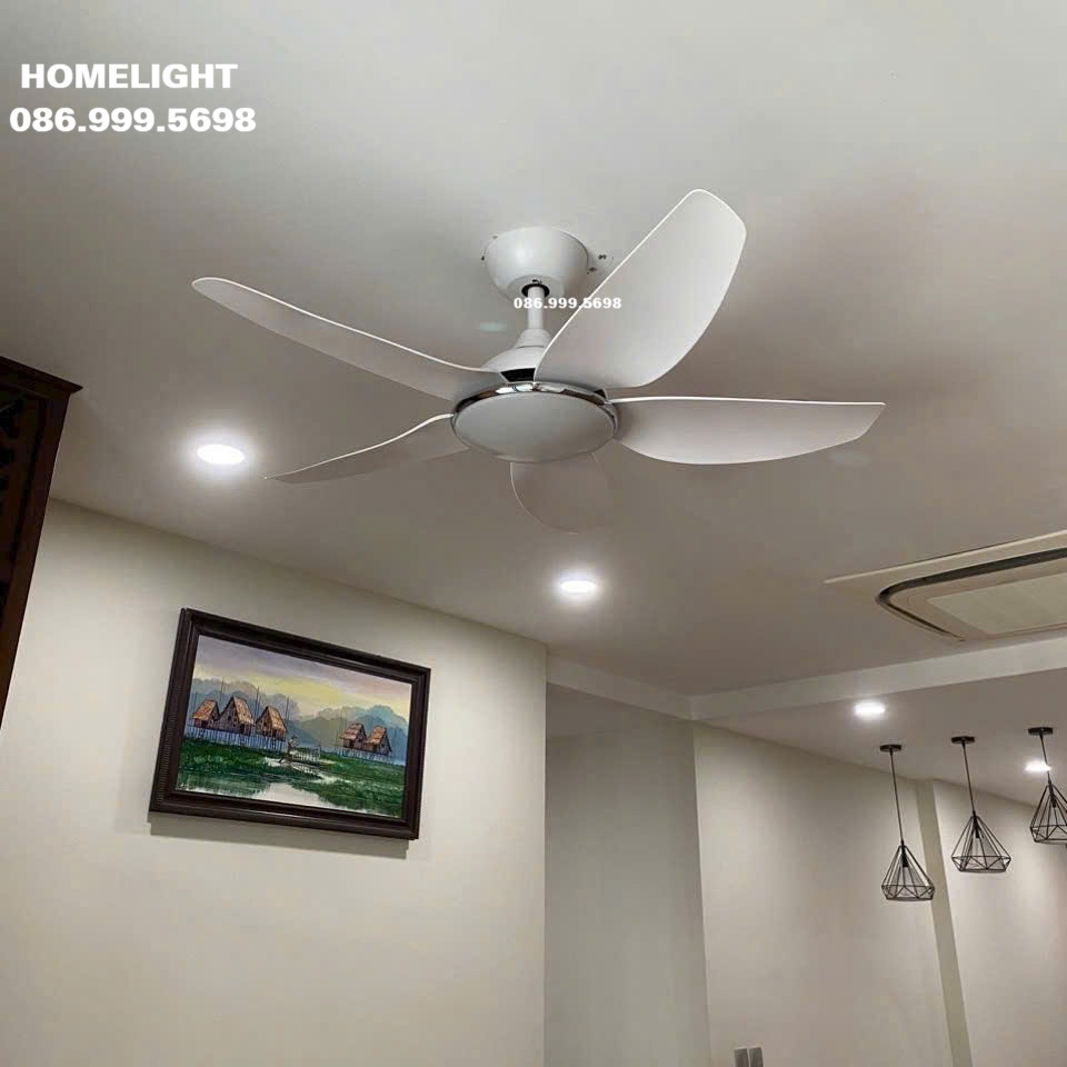 Quạt trần đèn HL Fan 512T