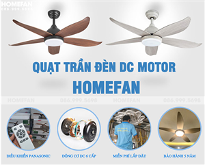 5 lý do bạn nên sở hữu quạt trần đèn DC