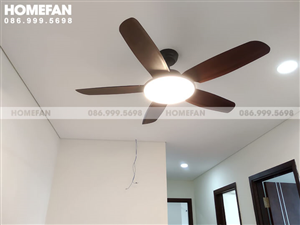 Cách chọn quạt trần đèn DC cho phòng khách