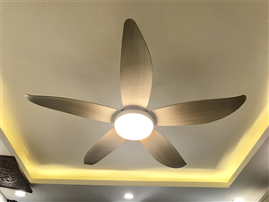 Homelight có các loại quạt trần cao cấp nào đáng chú ý