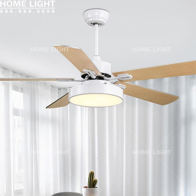 Quạt trần đèn kiểu dáng hiện đại – HL-FAN659