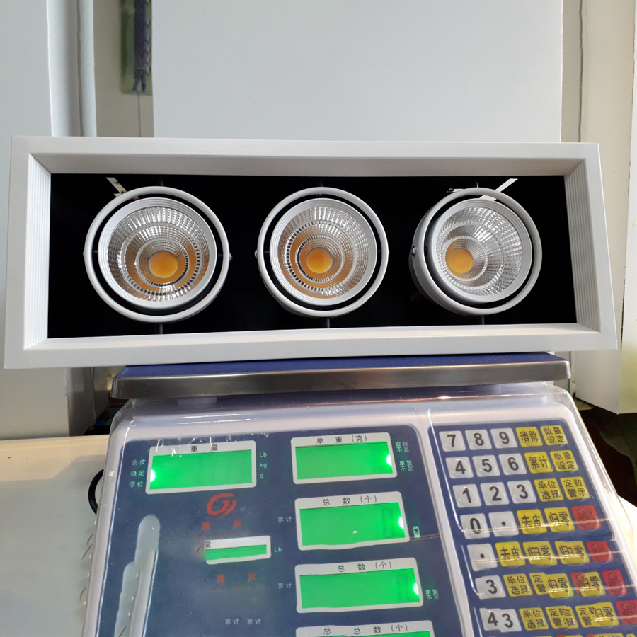 Đèn âm trần downlight DL025
