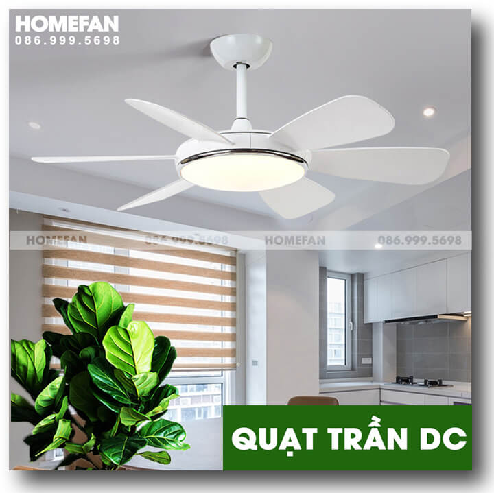 Quạt trần có đèn chùm – HL-FAN682