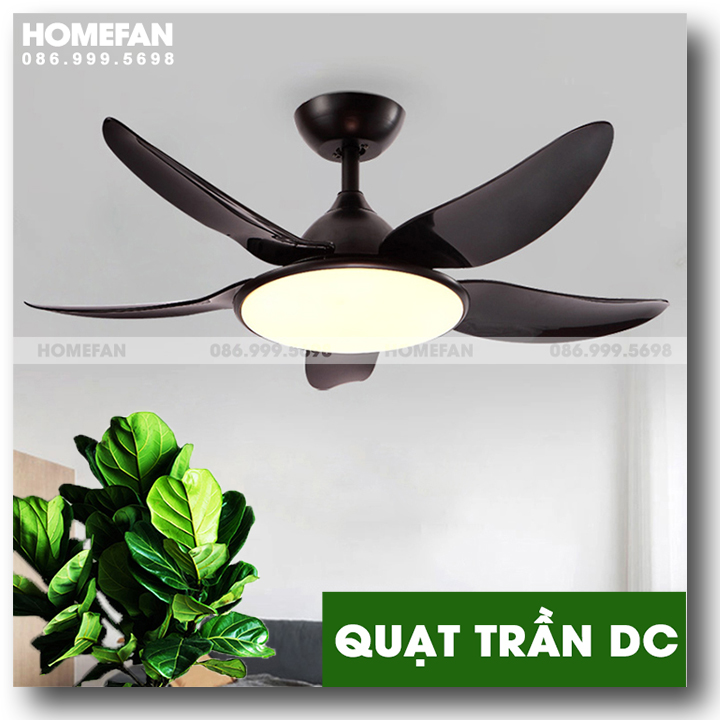 Đèn quạt trần trang trí – HL-FAN663