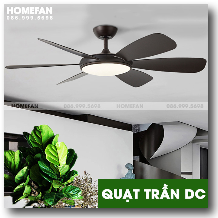 Quạt trần đèn chùm hiện đại – HL-FAN683