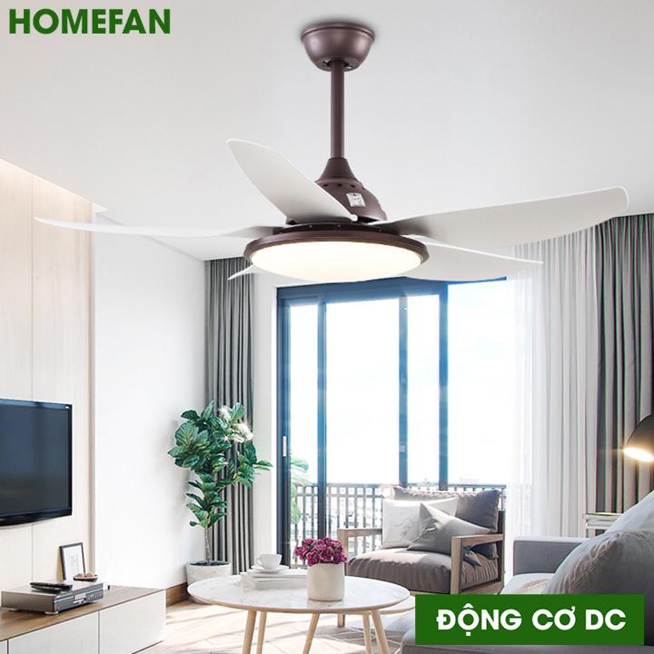 Quạt đèn trần – HL-FAN686