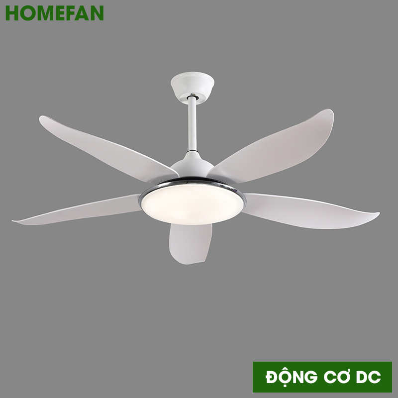 Quạt trần đèn hiện đại – HL-FAN806