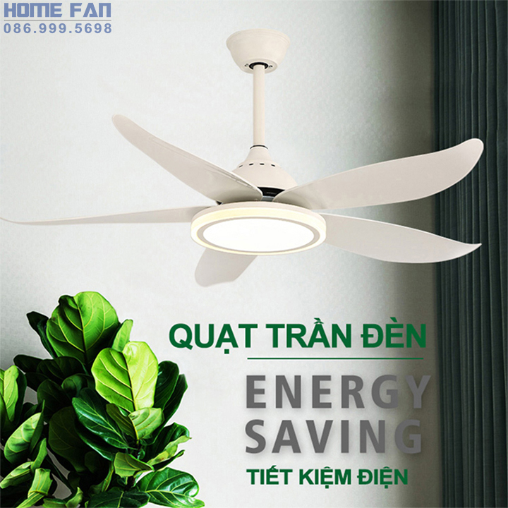 Quạt trần trang trí HL-FAN089