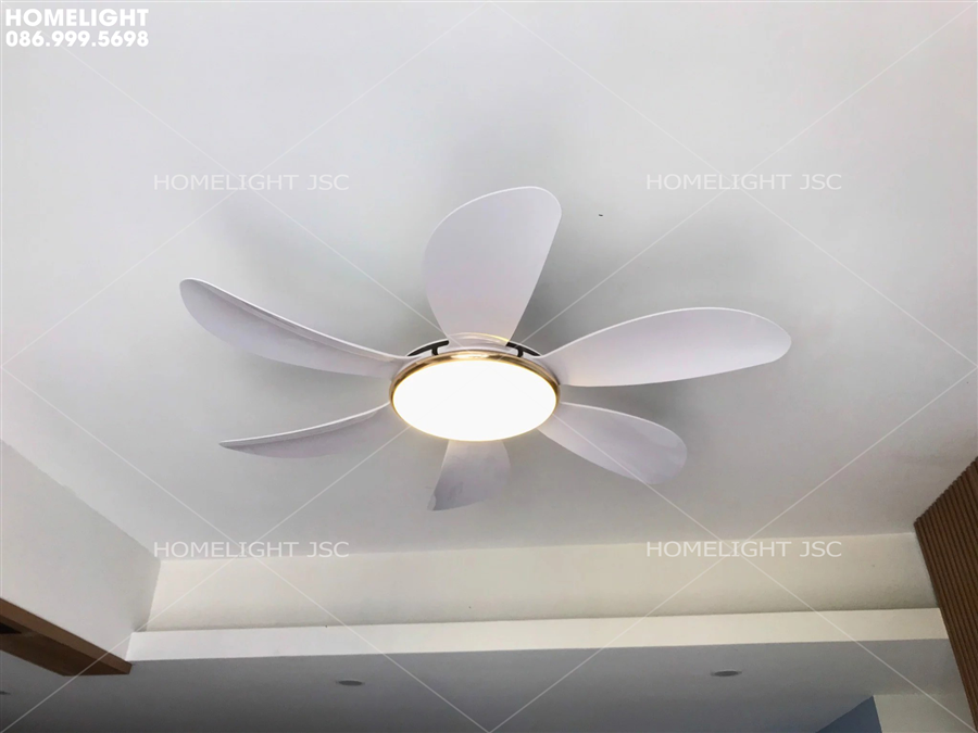 Quạt trần đèn HLFAN 598