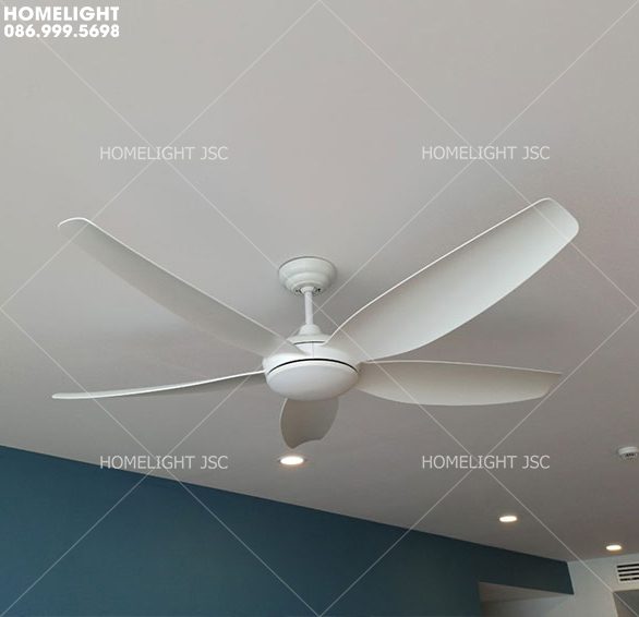 Quạt trần đèn HLFAN 895